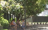 [ẢNH] Người nhà bệnh nhân vạ vật tìm cách tránh nắng nóng kinh người